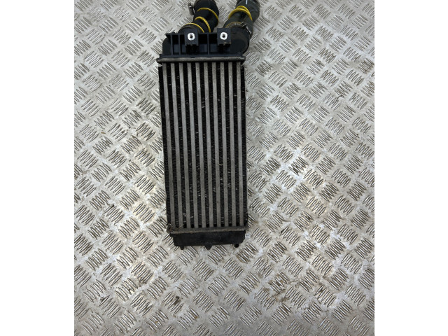Интеркулер  9800291280, 98733T01   Citroen DS4 
