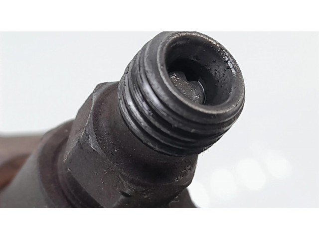 Vstřikovač 0445110311, 8842547882712 Citroen Berlingo pro naftový motor 1.6