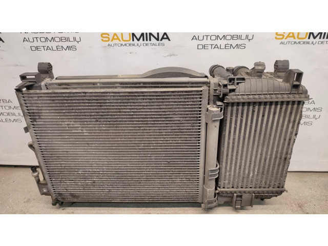 Комплект радиатора