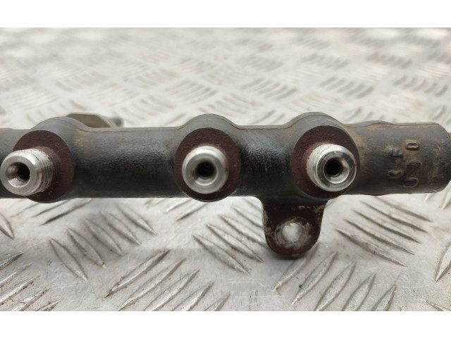 Комплект системы впрыска топлива 9674300080, 9674984080    Ford Kuga II  xrmc 