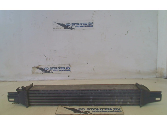 Интеркулер  l8119001, l8119001   Citroen Nemo 