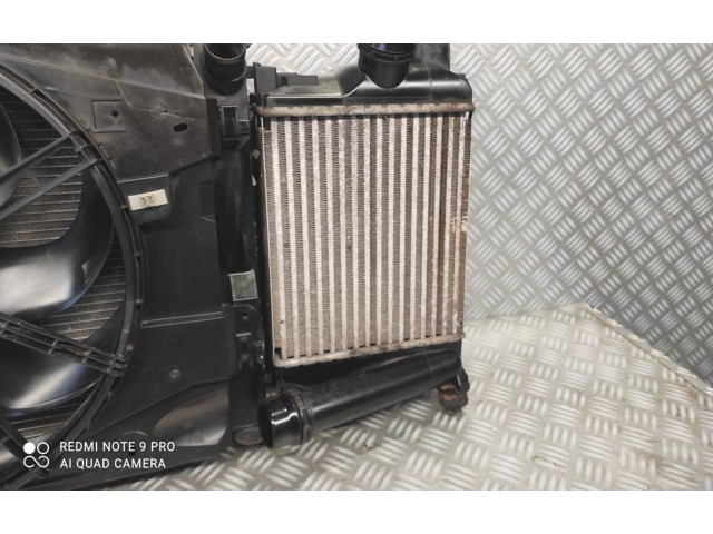 Интеркулер 144967634R, 14461B681D Dacia Sandero