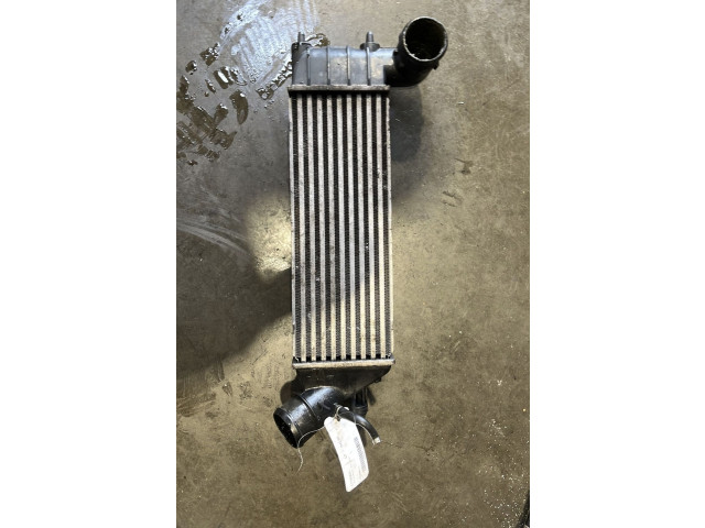 Интеркулер 00000384G0 Citroen C8