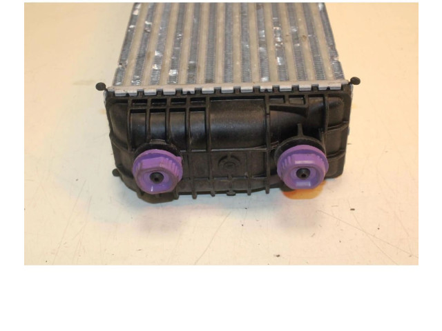 Интеркулер  9828172080   Peugeot 2008 II 