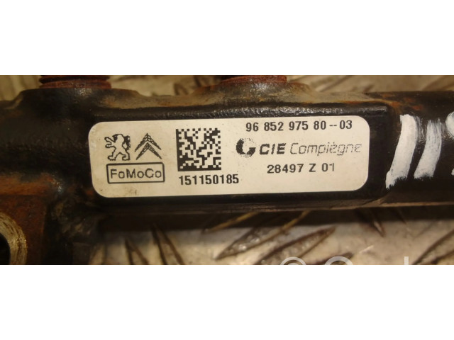 Vstřikovací lišta 9685297580   Citroen Berlingo  pro naftový motor 1.6 9HP (DV6DTED) 