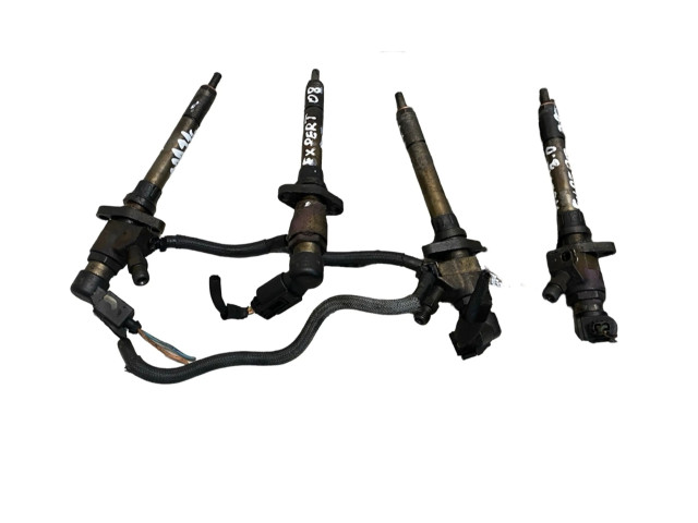 Комплект форсунок 9658194180    Peugeot Expert   