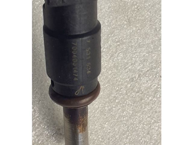 Форсунка 7004001474, 7531634 BMW Z4 E89