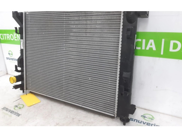 Модуль управления BSM 214106666R, 214106666R   Renault Captur    