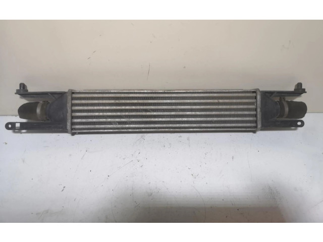 Интеркулер Fiat Punto (199)