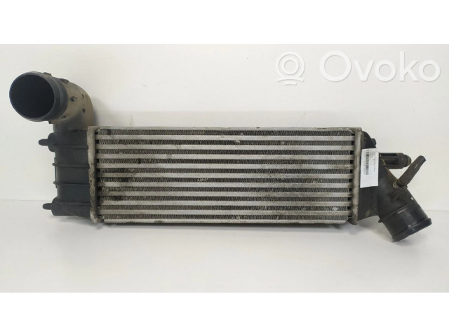 Интеркулер 1489396080, IA1076 Citroen C8 2.2