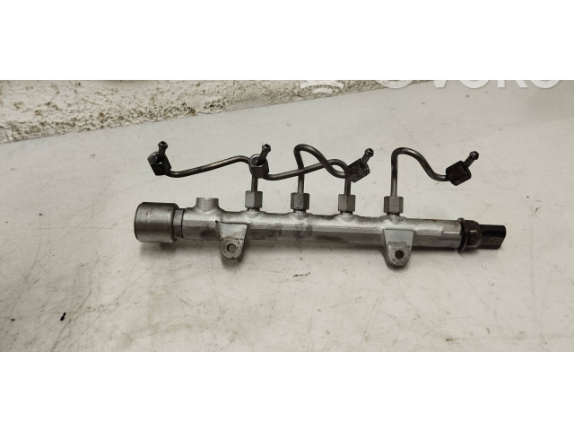 Топливная рампа A6510700495, A6510700700   Mercedes-Benz E W212  