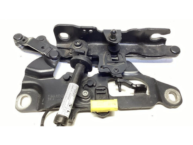 Петля (петли) капота двигателя