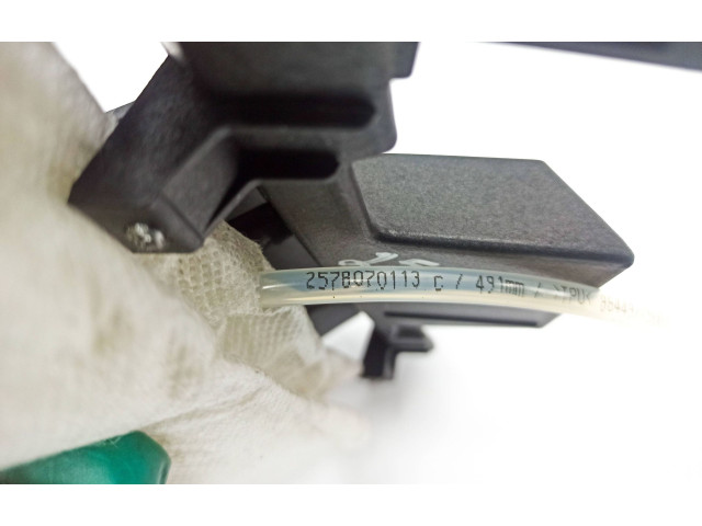 Подушка безопасности в сиденье 2578070113, 86449 Mercedes-Benz R W251