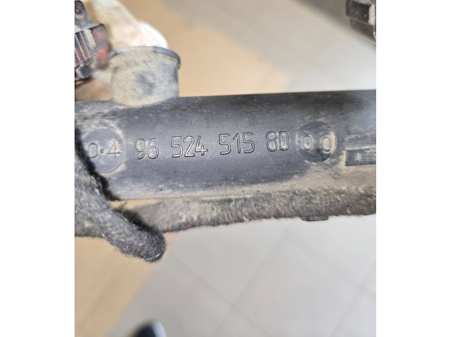 Топливная рампа 9652451580 Citroen C4 I