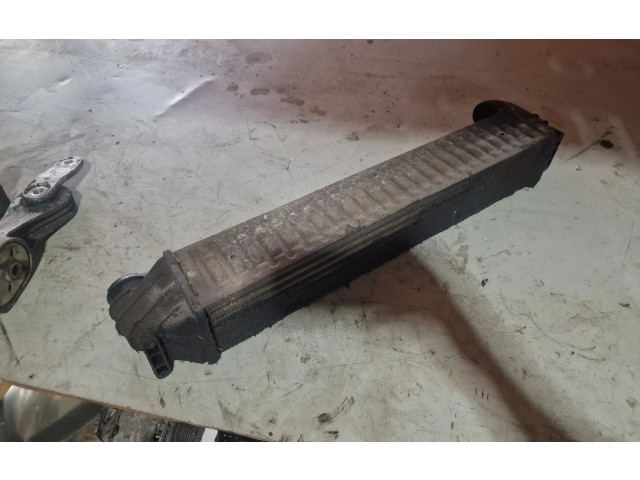 Интеркулер Seat Alhambra (Mk1)