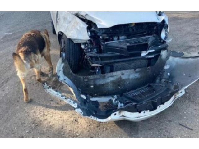 Zpětné zrcátko  Alfa Romeo Mito 2011  156106550  