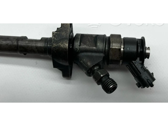 Форсунка 0445110, 0120207001315 Citroen Berlingo
