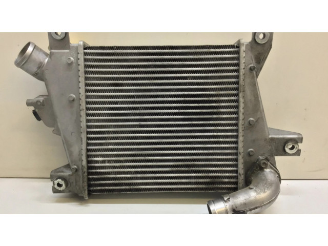 Интеркулер D2052B17, D2053B17 Nissan X-Trail T30 2.2