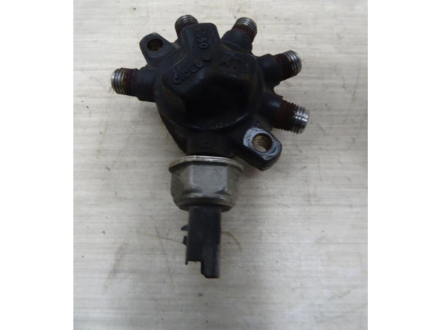 Топливная рампа Renault Clio II