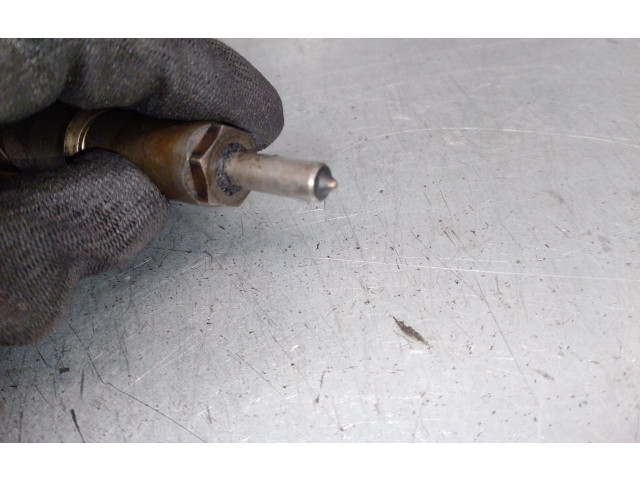 Форсунка 9655304880, SIEMENS Citroen C2 8HX