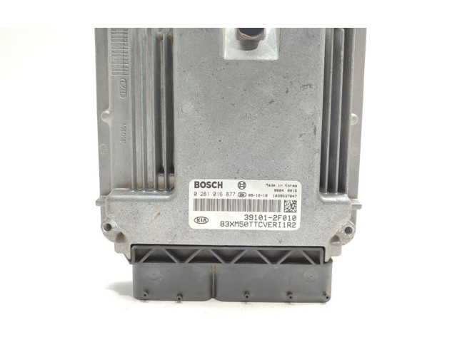 Блок управления двигателя 0281016877   KIA Sorento