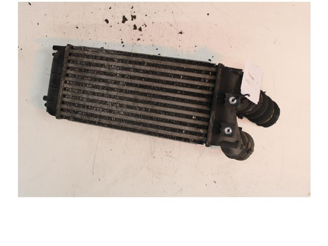 Интеркулер     Citroen Berlingo 1.6