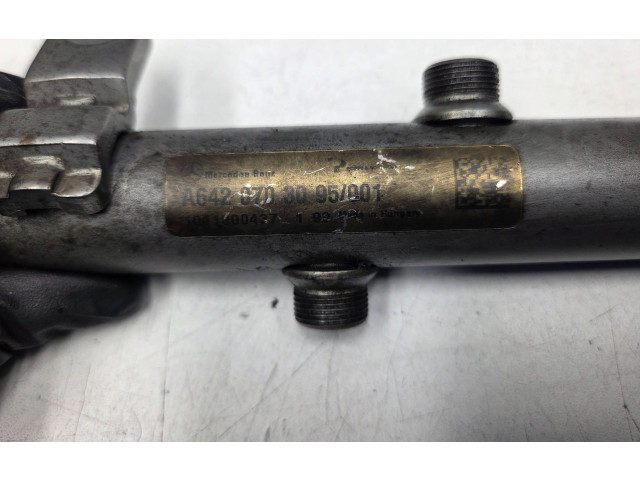 Vstřikovací lišta A6420703095, 6420703095 Mercedes-Benz E W212