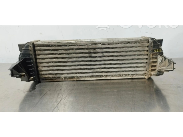 Интеркулер     Ford Transit -  Tourneo Connect 