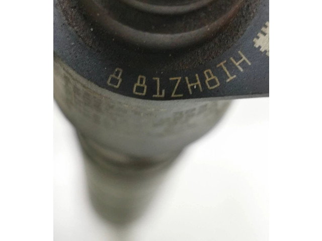 Форсунка 31303238, 0445116046    Volvo V70  D5204T7 