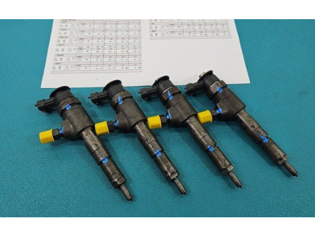 Комплект форсунок 0445110252, IMPRK1502673 Citroen Nemo