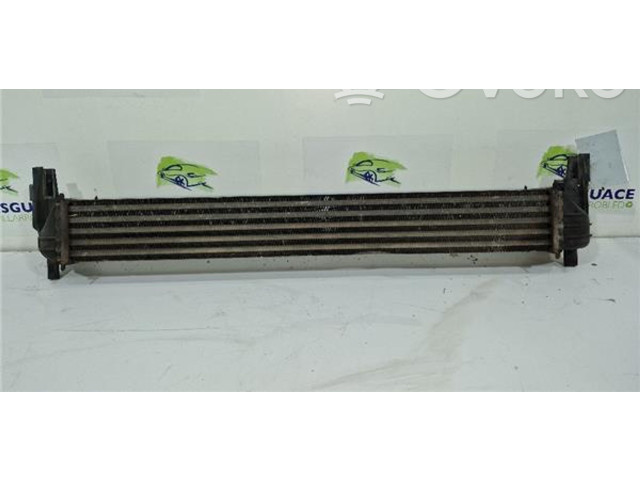 Интеркулер     Seat Ibiza IV (6J,6P) 