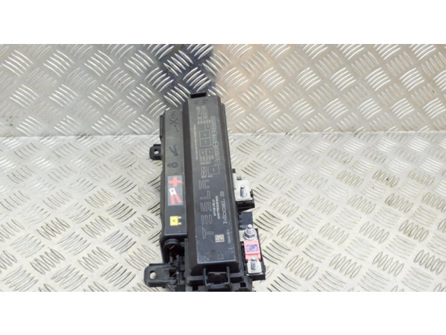 Pojistková skříňka 103440600C Tela Model S 2017