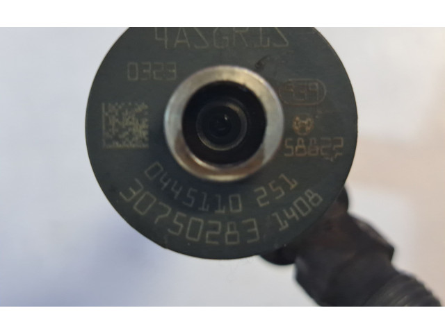 Форсунка 0445110251, 8603595    Volvo XC90  D 5244 T4 