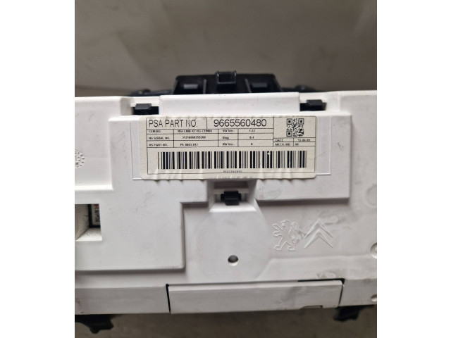 Панель приборов 9665560480   Citroen C5       