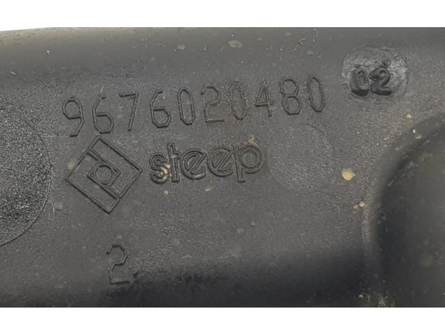 Топливная рампа 9676020480, 9676020480   Citroen C3   для двигателя HM01