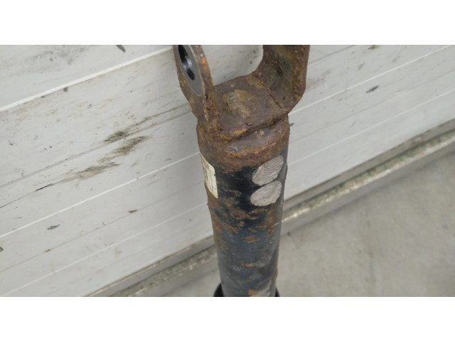 Задний aмортизатор      