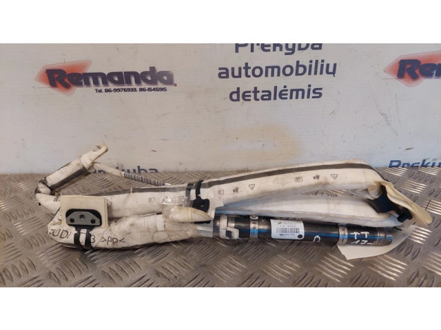 Боковая подушка безопасности Audi TT TTS RS Mk3 8S