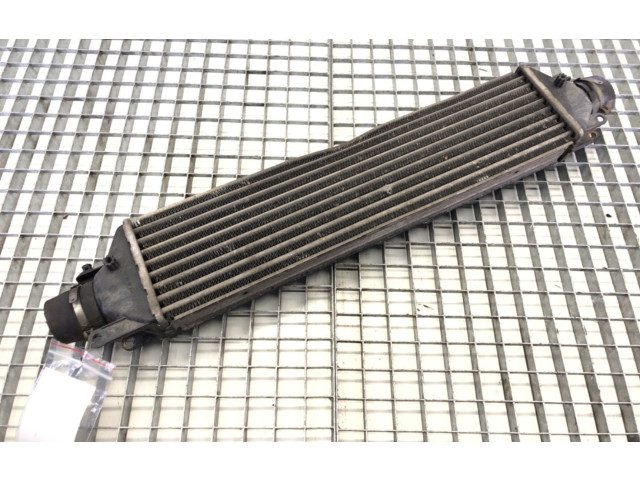 Интеркулер     Fiat Linea 