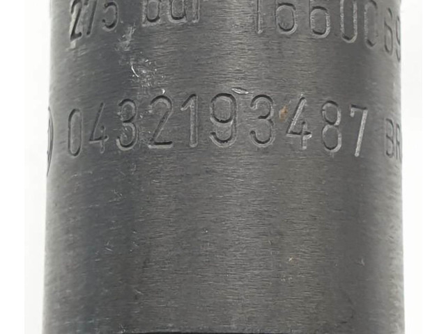 Жиклер (жиклеры) (форсунка (форсунки) 1660069T64, 0432193487 Nissan Cab Star