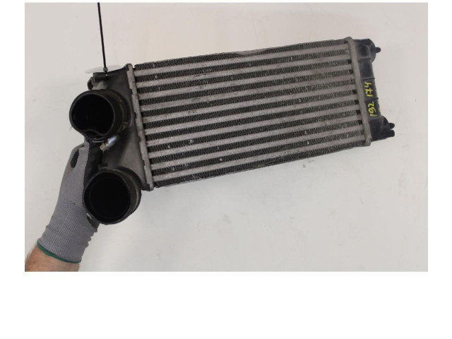 Интеркулер     Citroen Berlingo 