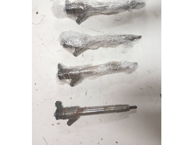 Комплект жиклеров (форсунок) 0445110955, 9828959880   Peugeot Partner III