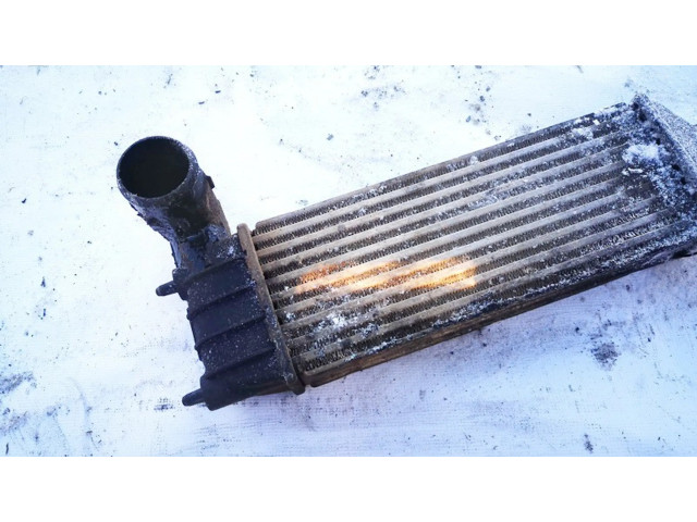 Интеркулер  1489396080   Citroen C8 2.0