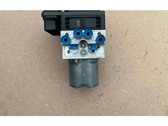 Jednotka ABS A4634200075   Mercedes-Benz G W463 2019