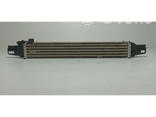 Интеркулер  51877663, X29890016   Fiat Fiorino 