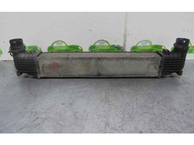 Интеркулер Seat Alhambra (Mk1)