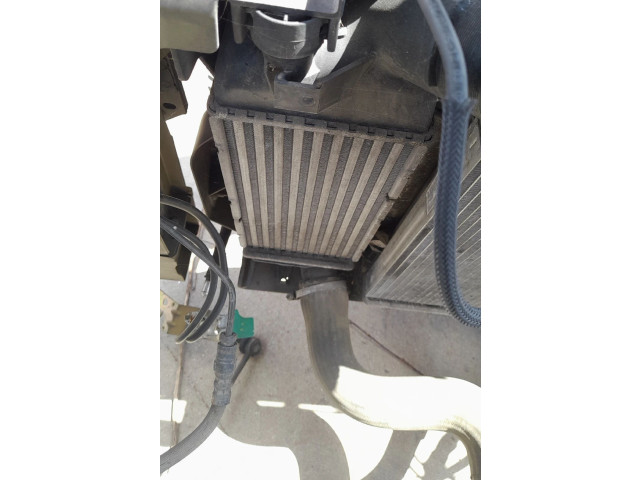 Интеркулер     Citroen C5 