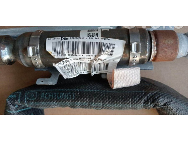 Боковая подушка безопасности 9681391580, 9681391580 Citroen Berlingo