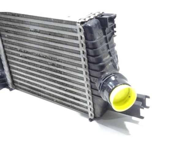 Интеркулер 144961381R Dacia Duster