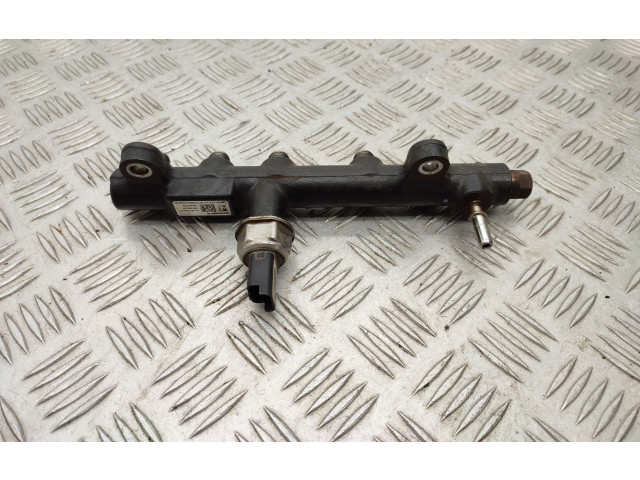 Комплект системы впрыска топлива 9674300080, 9674984080    Ford Kuga II  xrmc 