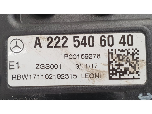 Pojistková skříňka A2225406040, P00169278 Mercede-Benz S W222 2017